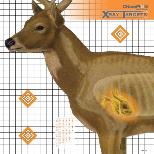 Champion Deer X-Ray Target 6-Pack for Shooting Practice