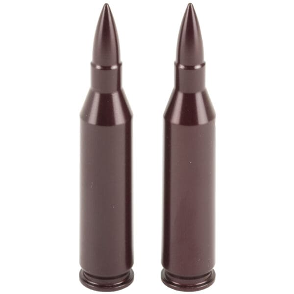 A-ZOOM Snap Caps 243 Win 2-Pack for Safe Dry Firing Practice