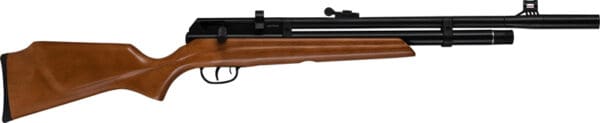 Beeman 1331 PCP Raider .22 Cal Pellet Air Rifle -10 Shot